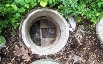 Taking Care of Your Septic System – Dos & Don’ts