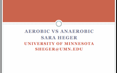 Aerobic or Anaerobic – Which One is Better?